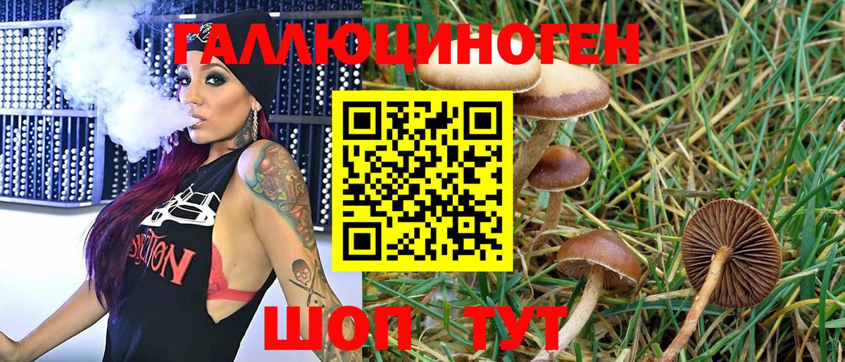 Миллерово  Галлюциногенные грибы Psilocybe  Вход с VPN 