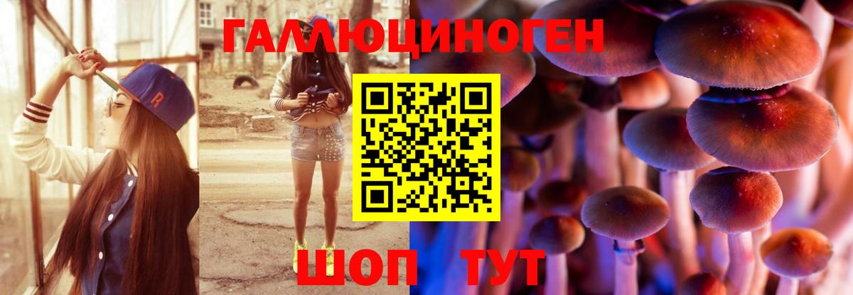 Псилоцибиновые грибы Cubensis Миллерово